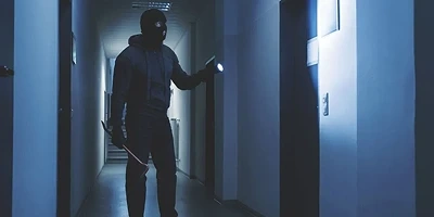 اعلام سرقت